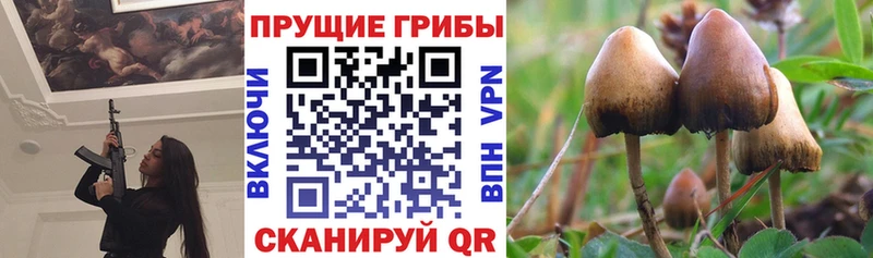 Галлюциногенные грибы прущие грибы  Шелехов 